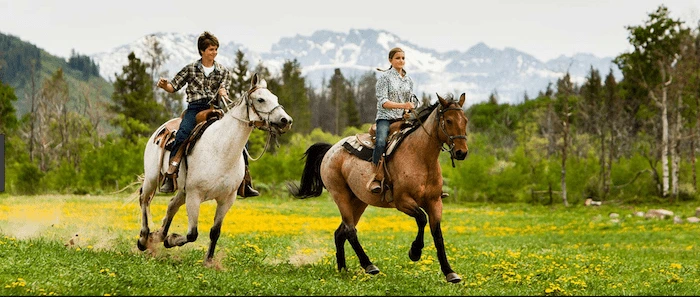 Confident plus-size woman riding Chesterfield a horse through a field with a smile on her face.